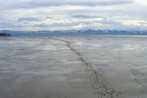 Footprints in the sand against the background of distant mountains