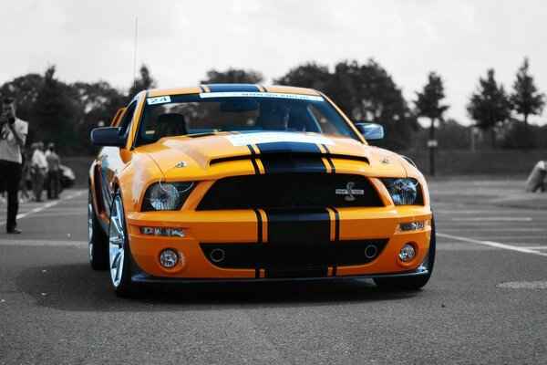 Shelby gt500 car orange