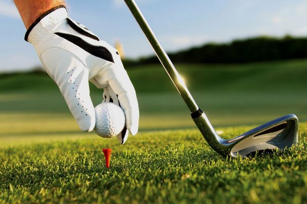 Gant et putter sur le terrain de golf