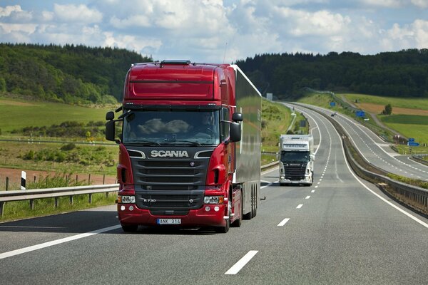 A red Scania truck is driving on the highway. Summer landscape with fields