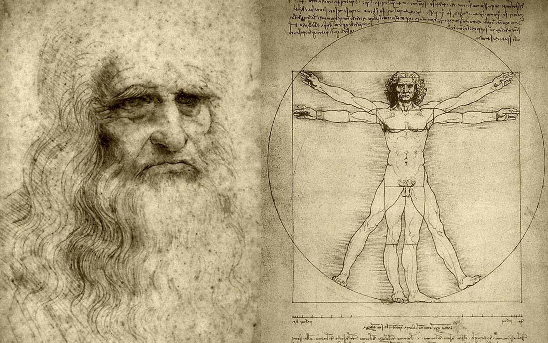 leonardo da vinci vitruvian man figure