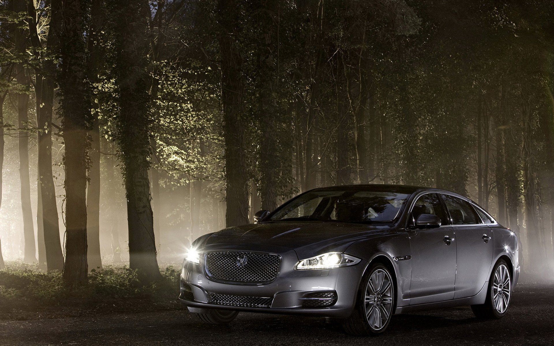 auto jaguar xj foresta