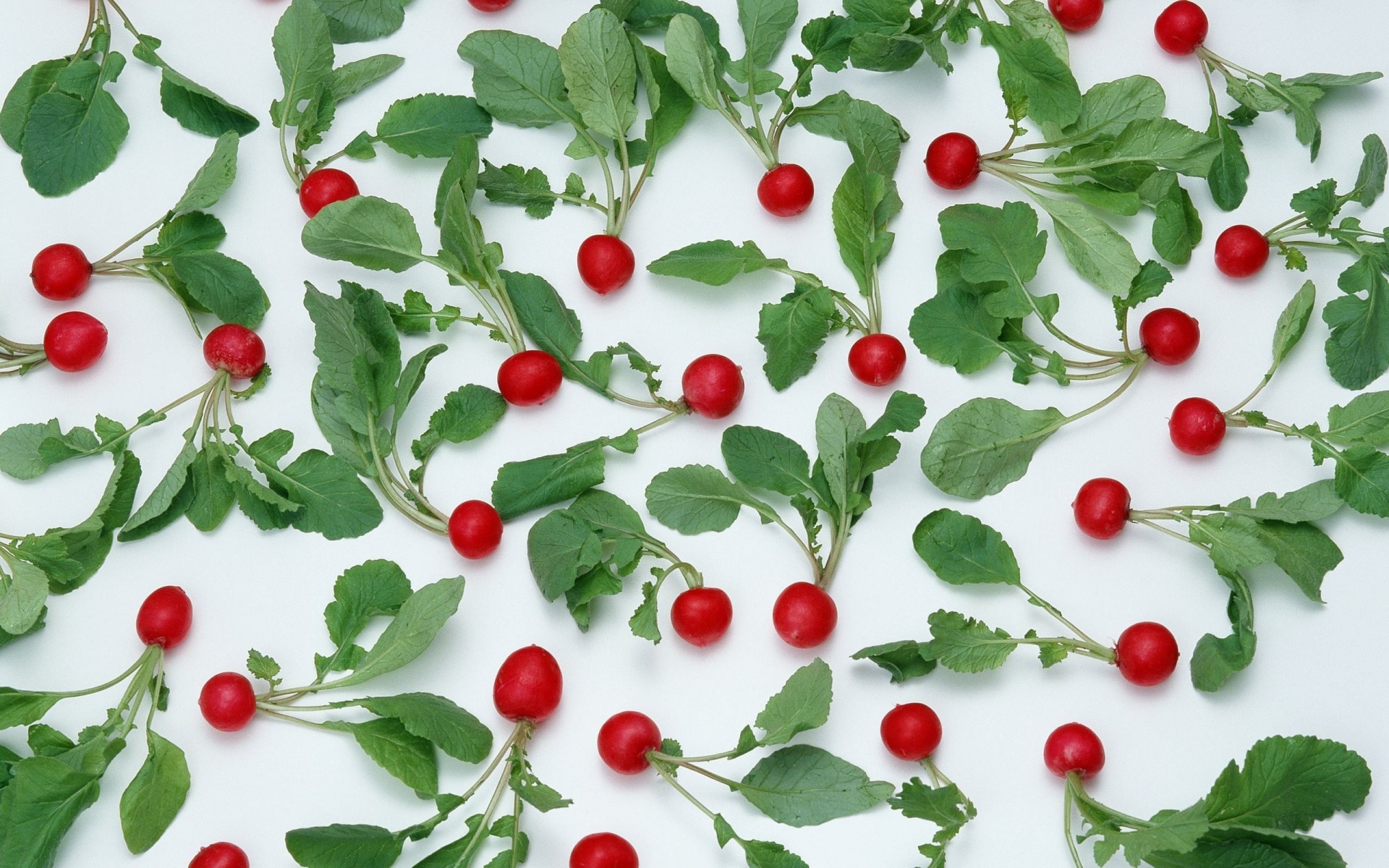 radish texture