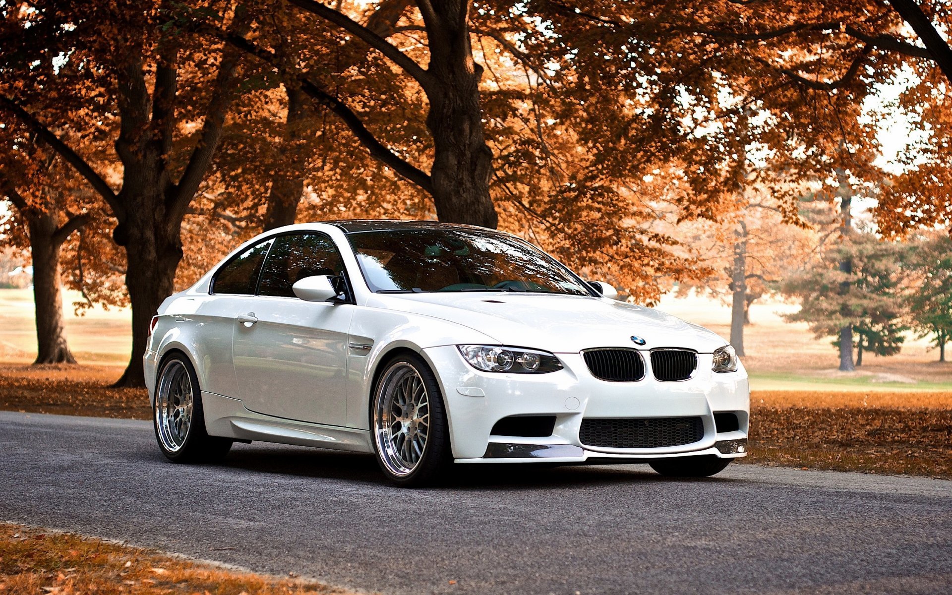 bmw m3 otoño árboles