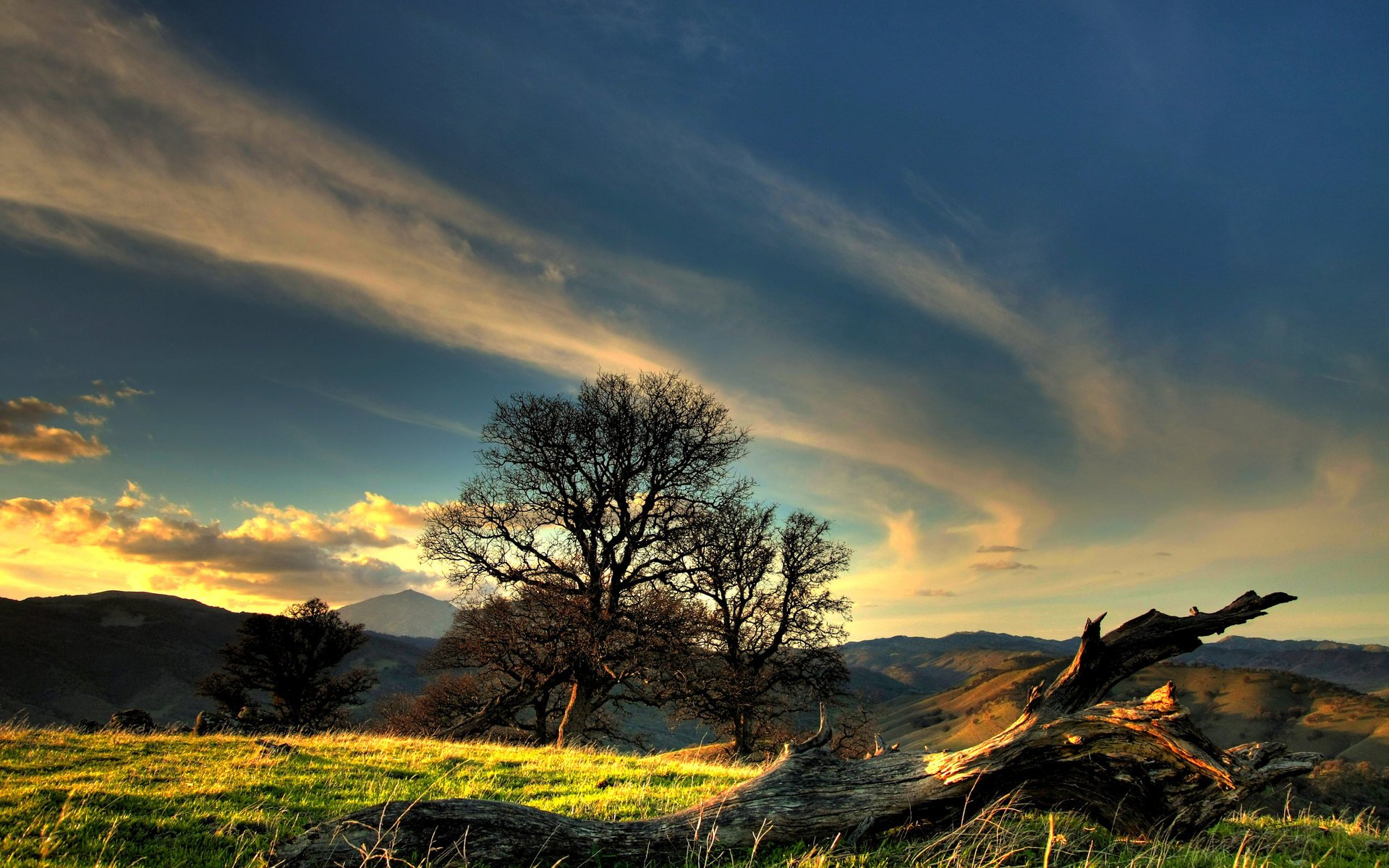 gras landschaft sonnenuntergang