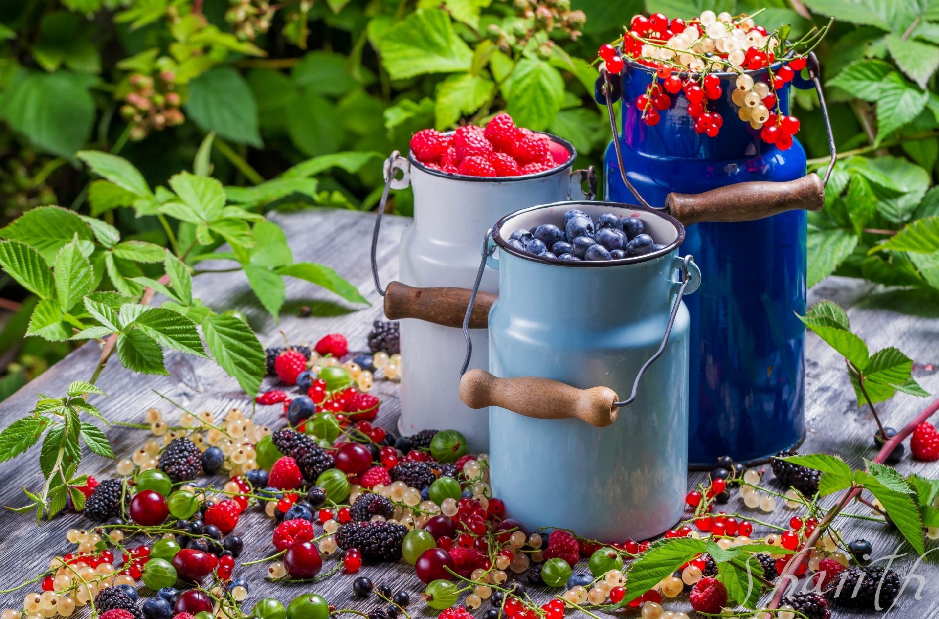 brombeeren himbeeren johannisbeeren obst beeren lebensmittel gläser vitamine stachelbeeren blaubeeren