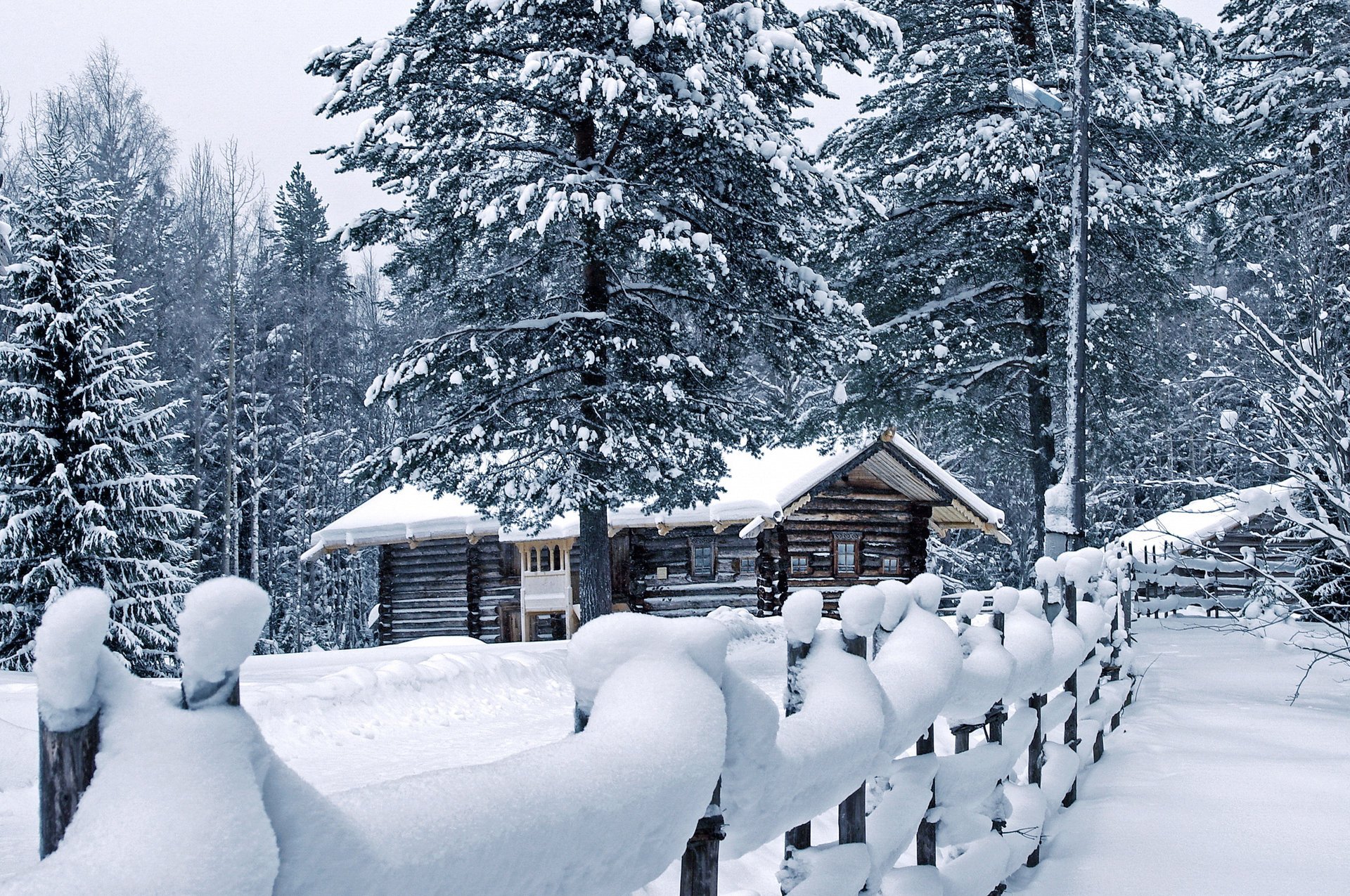 hiver pin clôture maison neige météo dérives