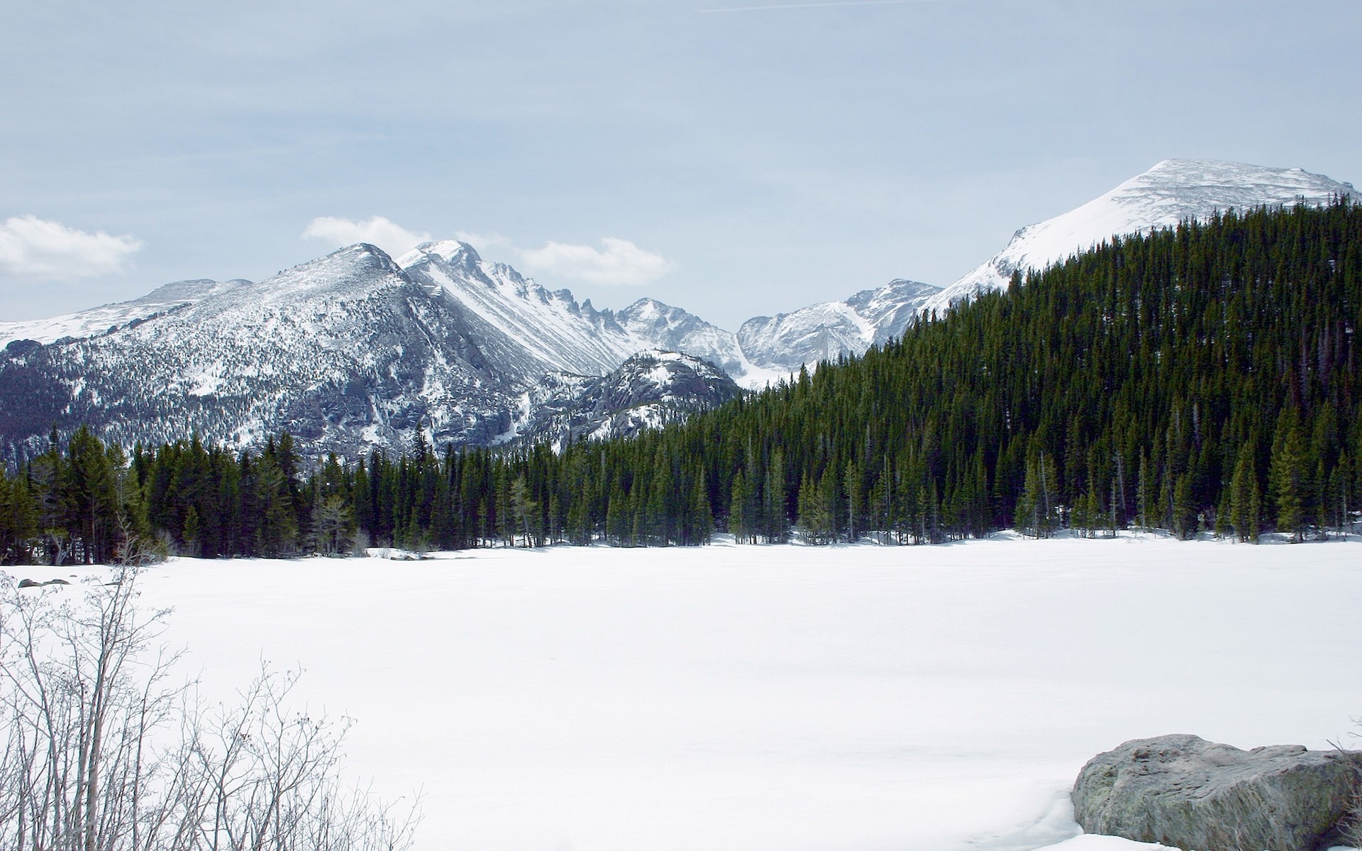 montañas nieve bosque