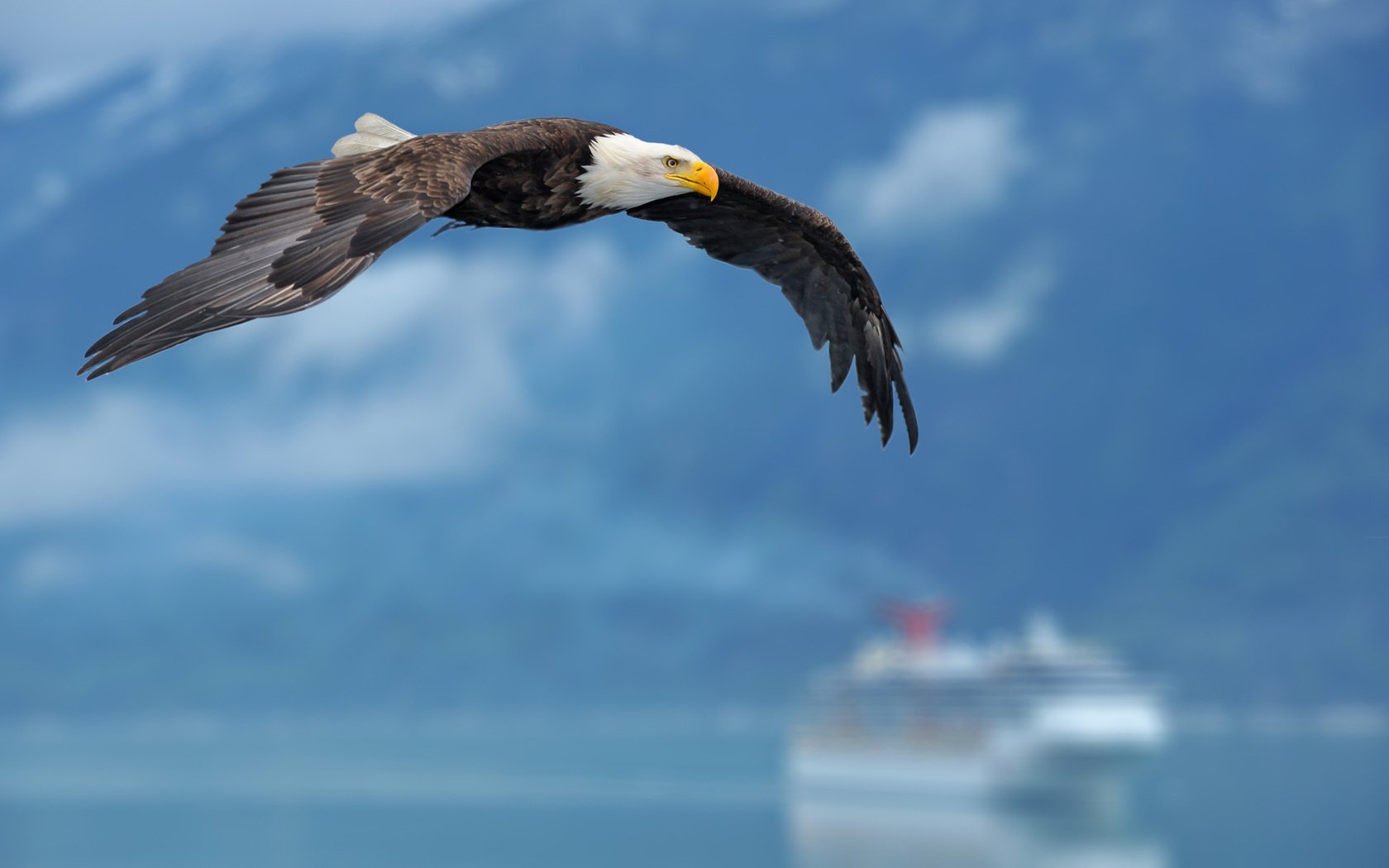 navire ailes fond aigle ciel ship eagle background wing