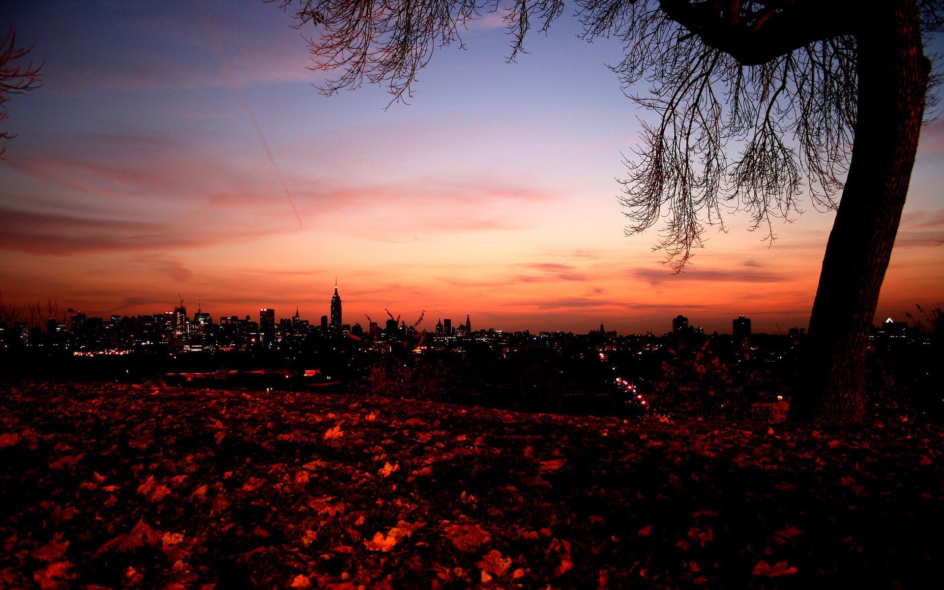 stadt sonnenuntergang abend blätter lichter gebäude himmel