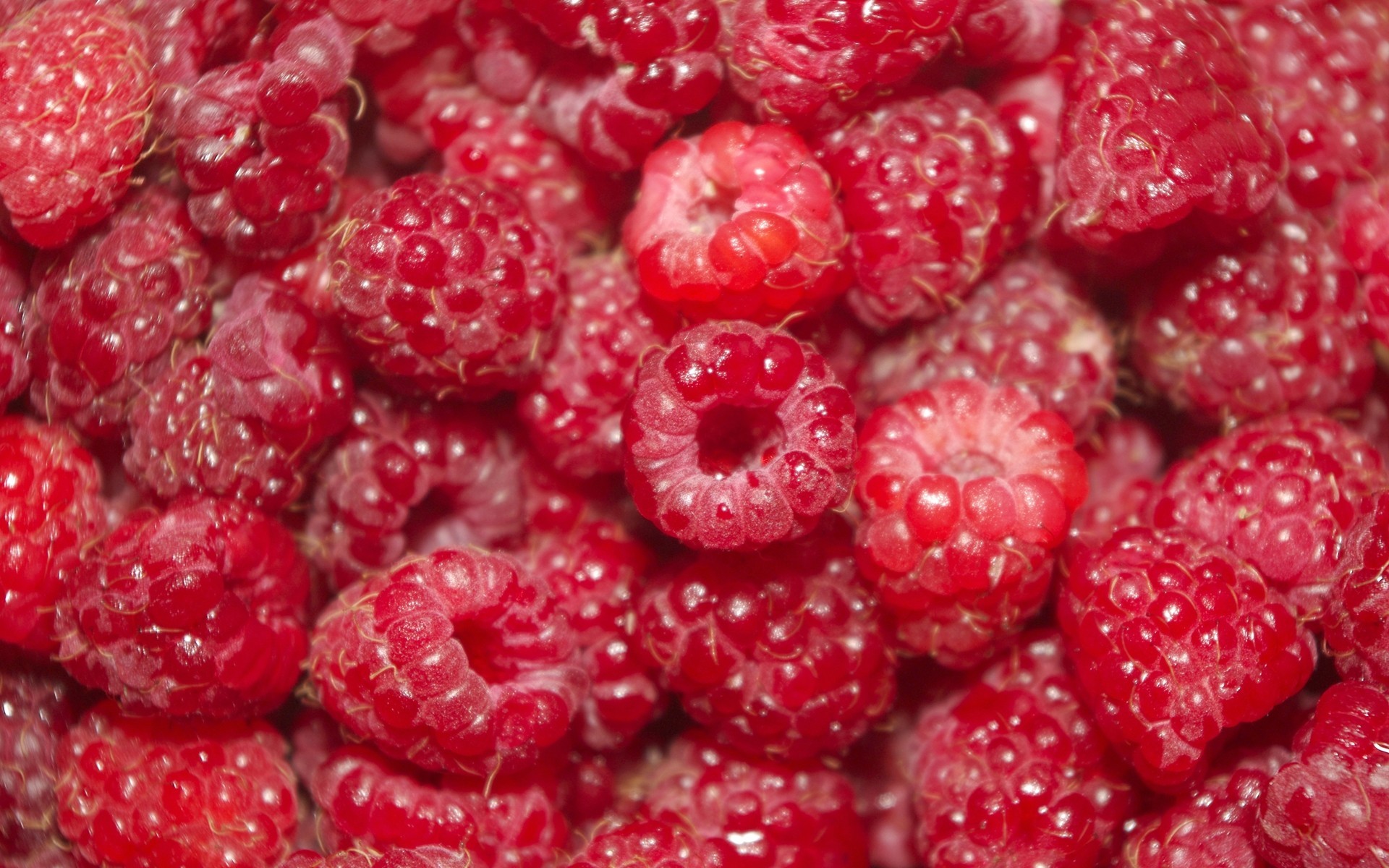 many shopping berries raspberry