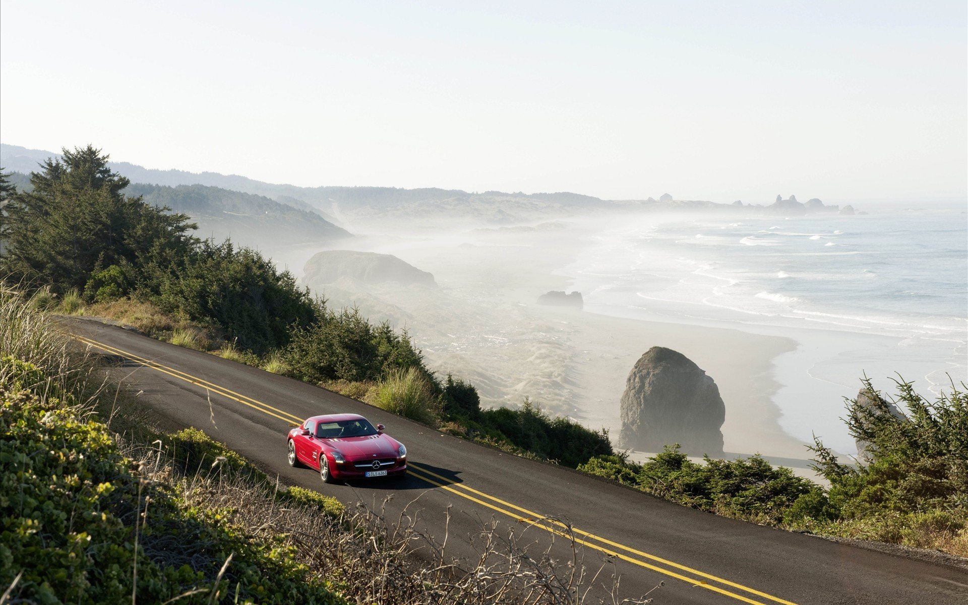 automobili alberi mare mercedes strada mercedes sl