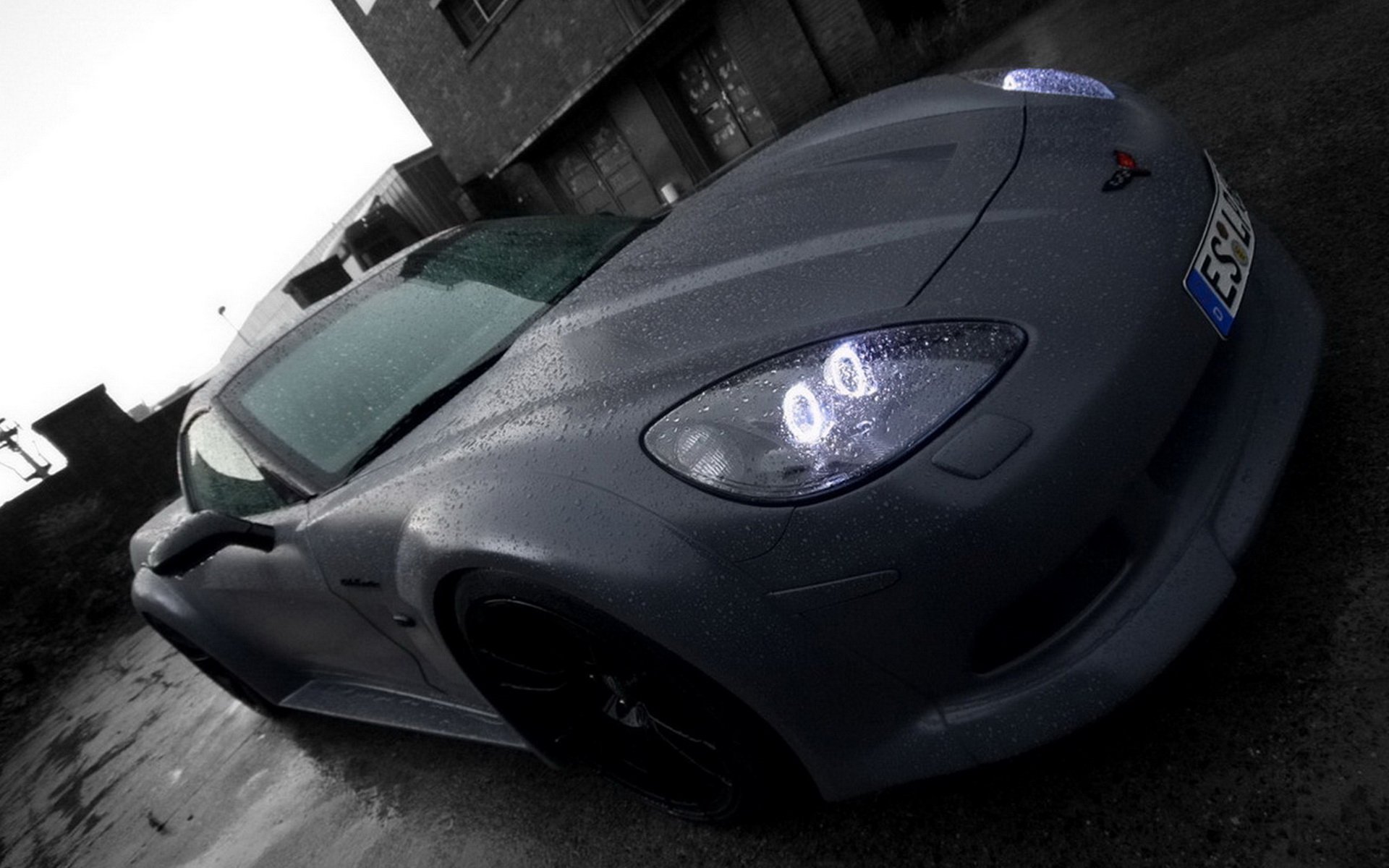 auto lom performance corvette c6 rain black and white