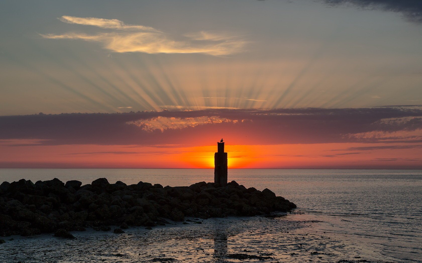 coucher de soleil oiseau mer paysage