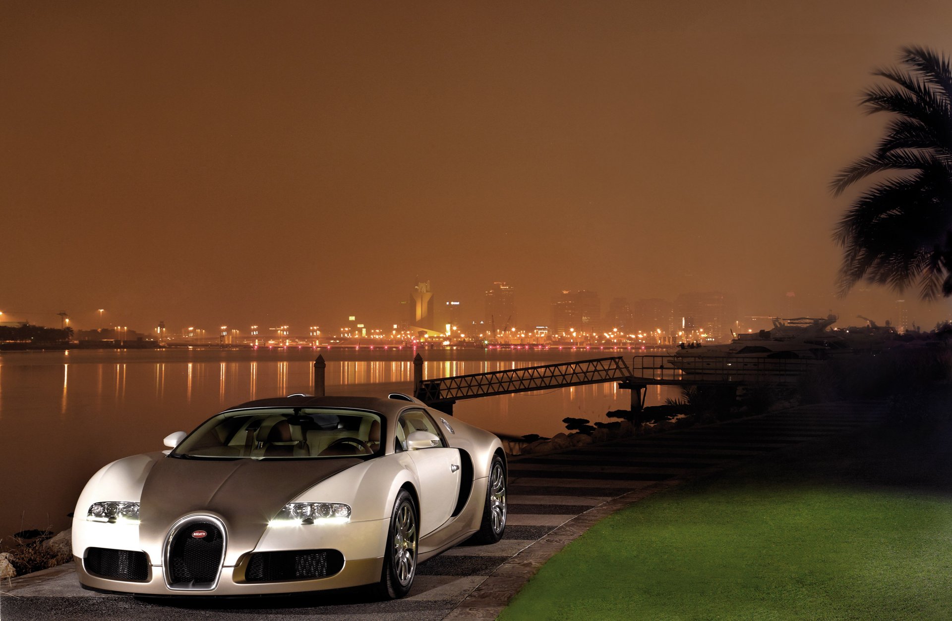 bugatti veyron auto stadt fluss rasen nacht hintergrundbilder