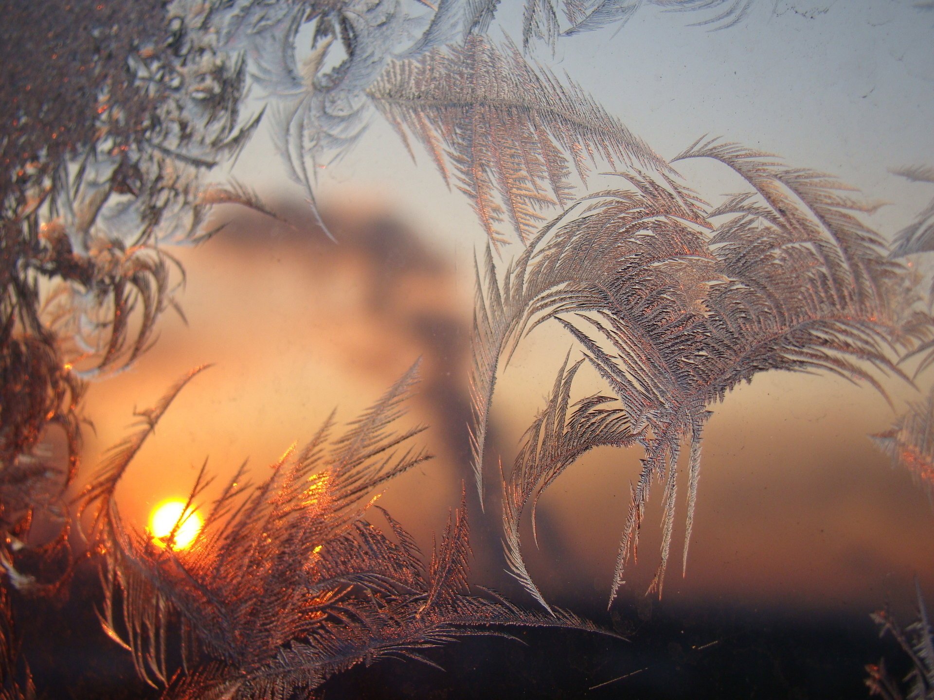 varios escarcha patrones amanecer ventana