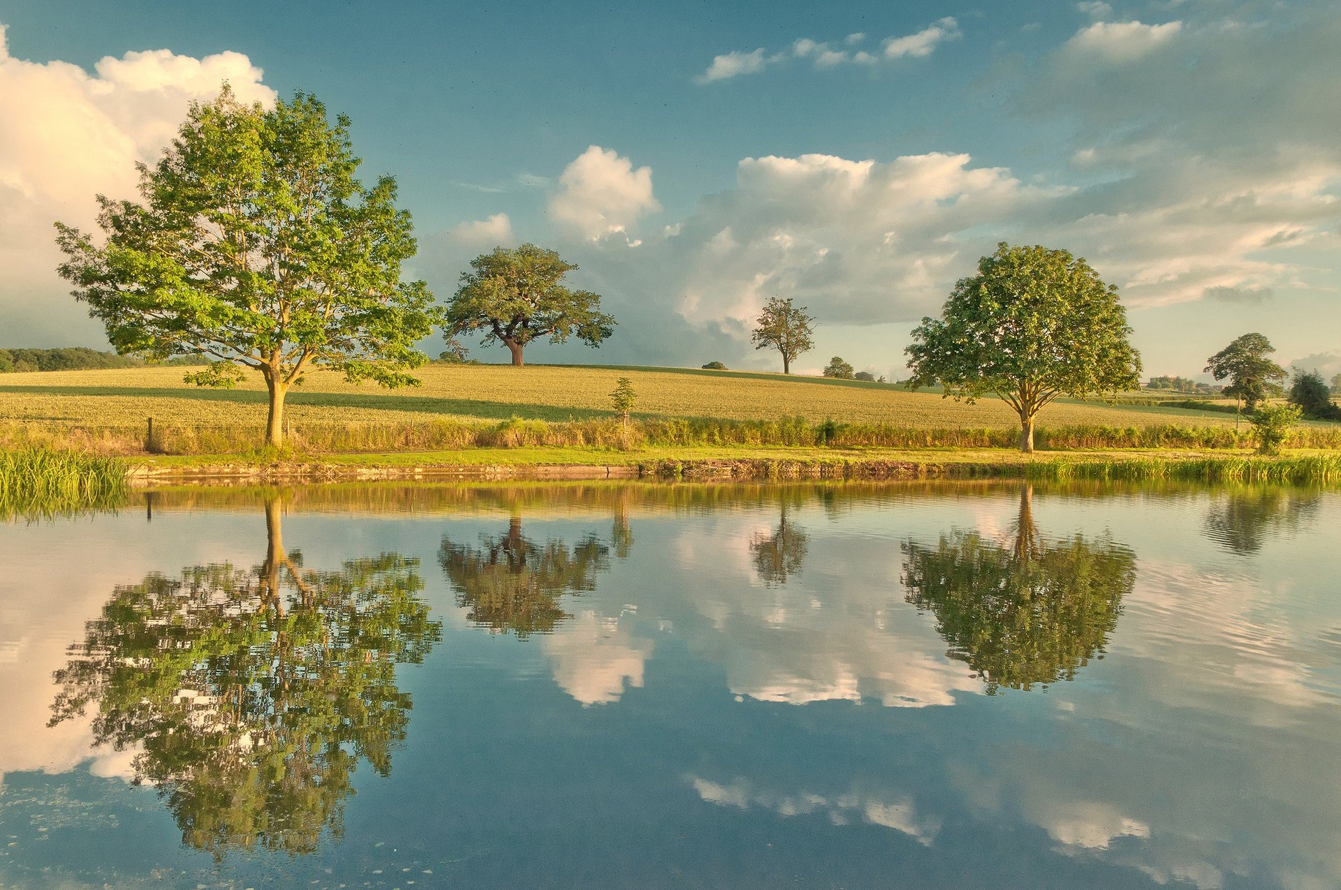 río árboles reflexión cielo naturaleza