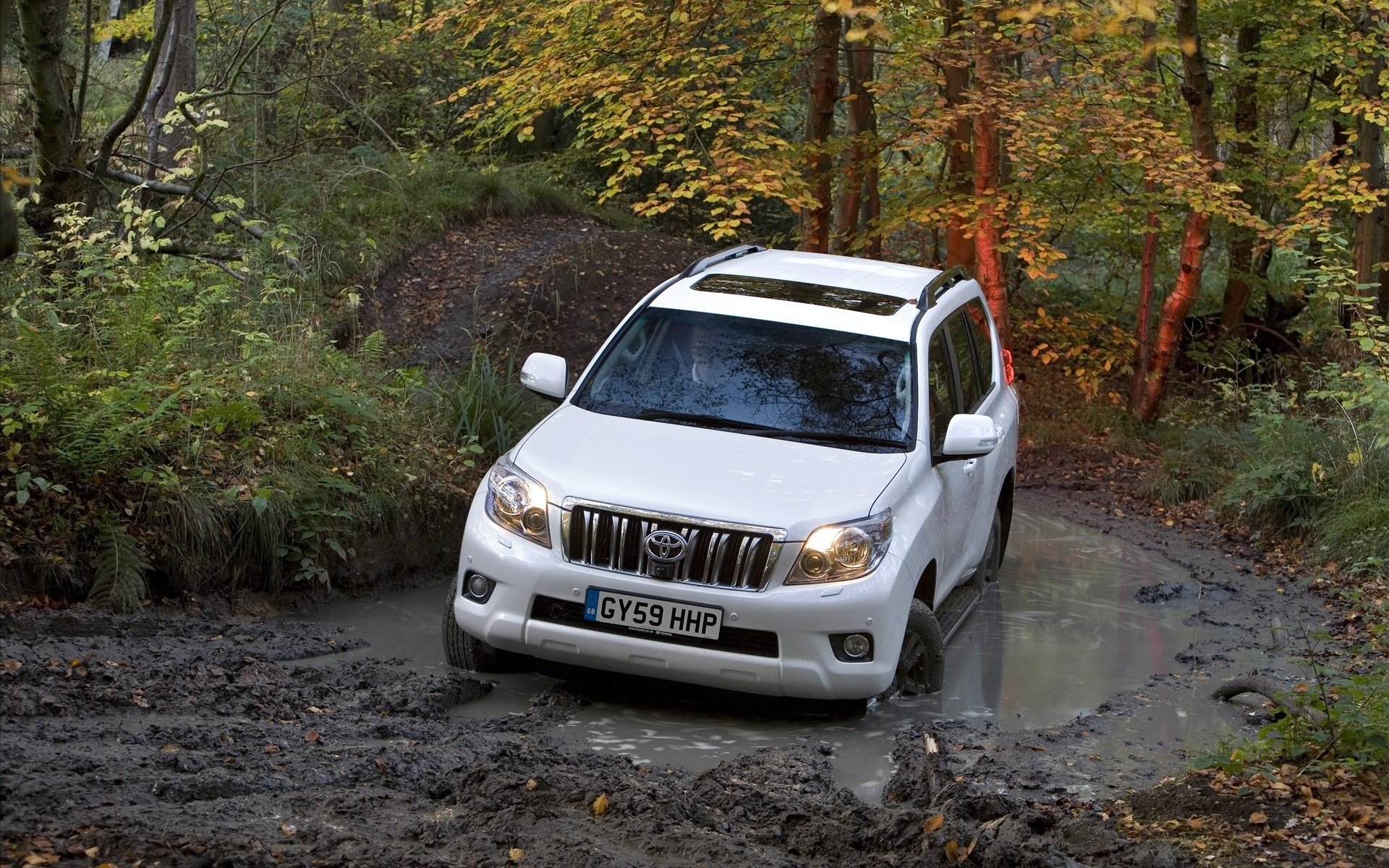 toyota land cruiser toyota toyota naturaleza bosque árboles barro