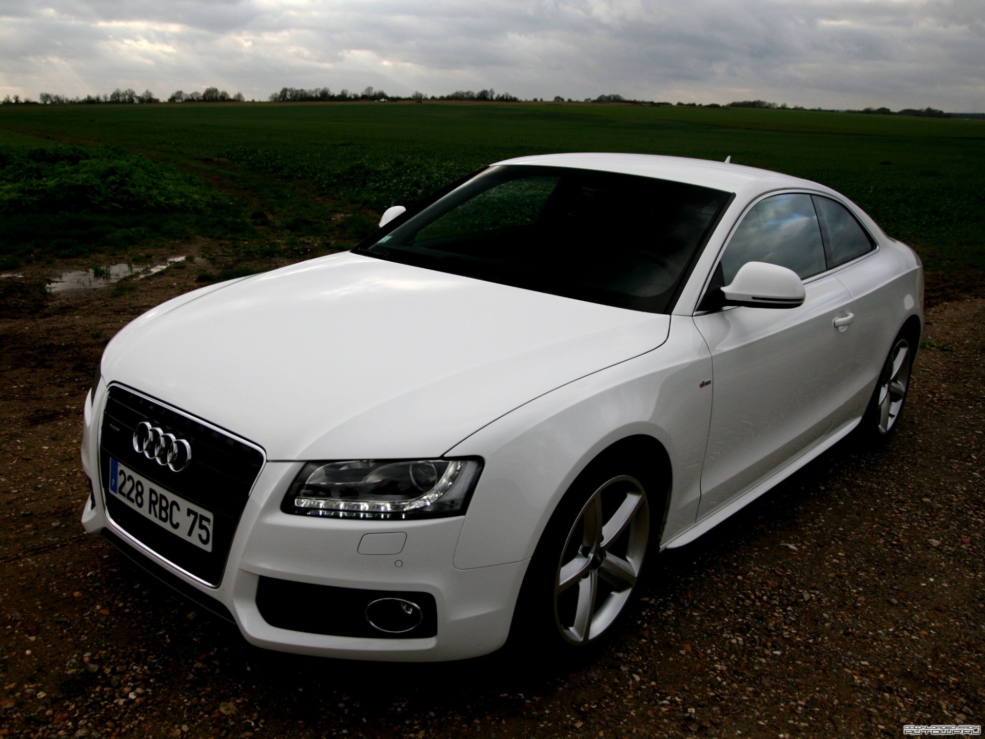 audi a5 quattro coupé audi bianco