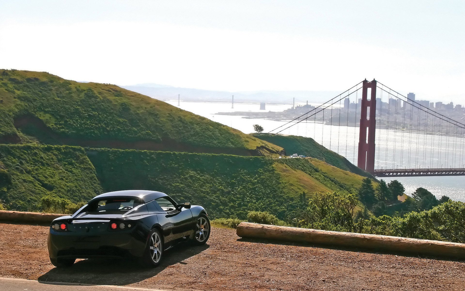 tesla bridge nature