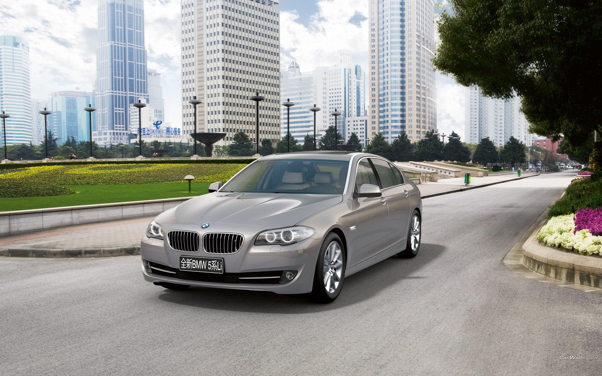 bmw 5º largo