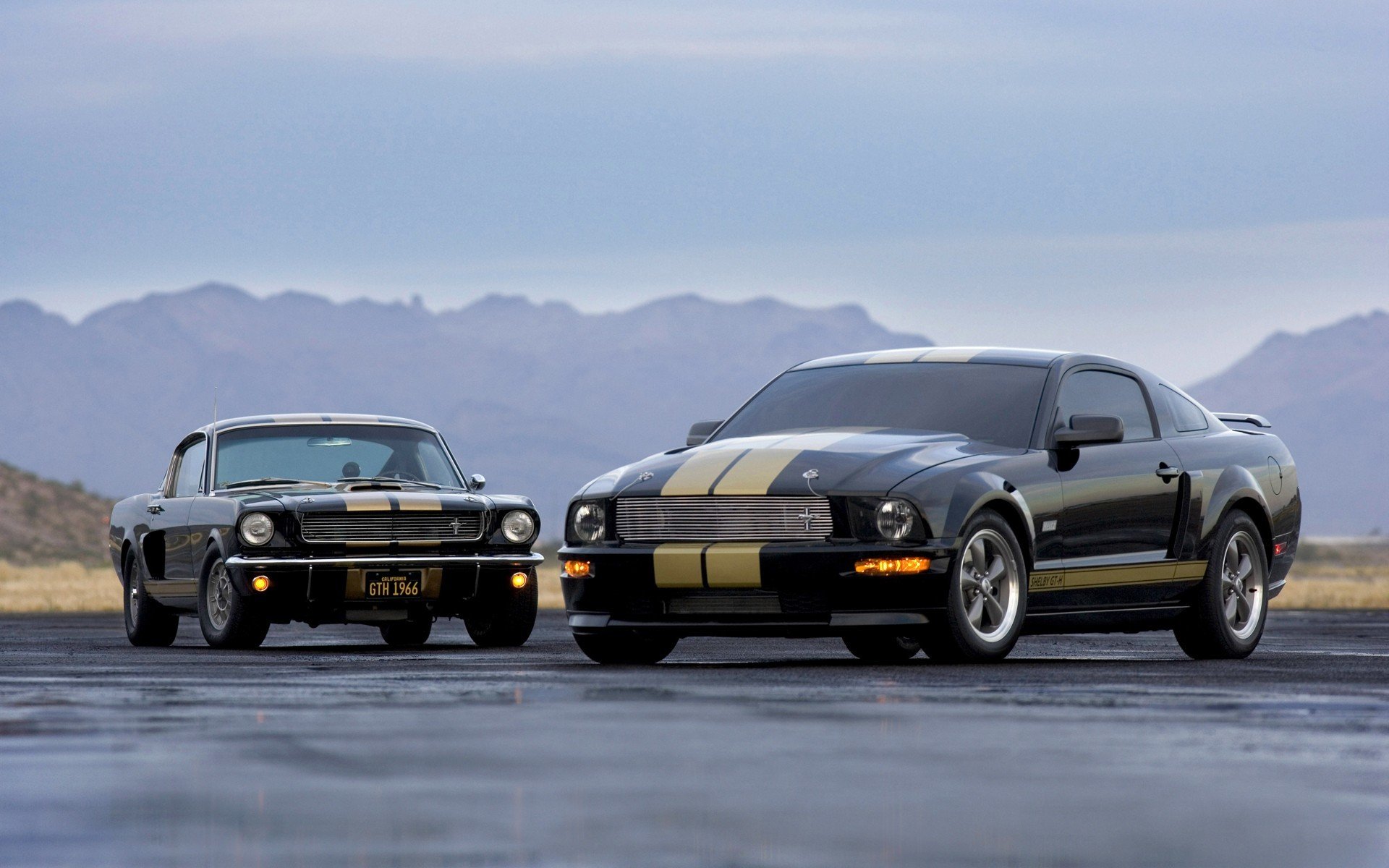 ford shelby gt-h voitures grand écran voitures route