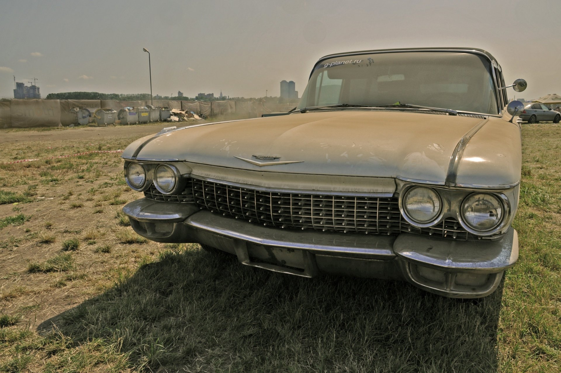 car cadillac dog show