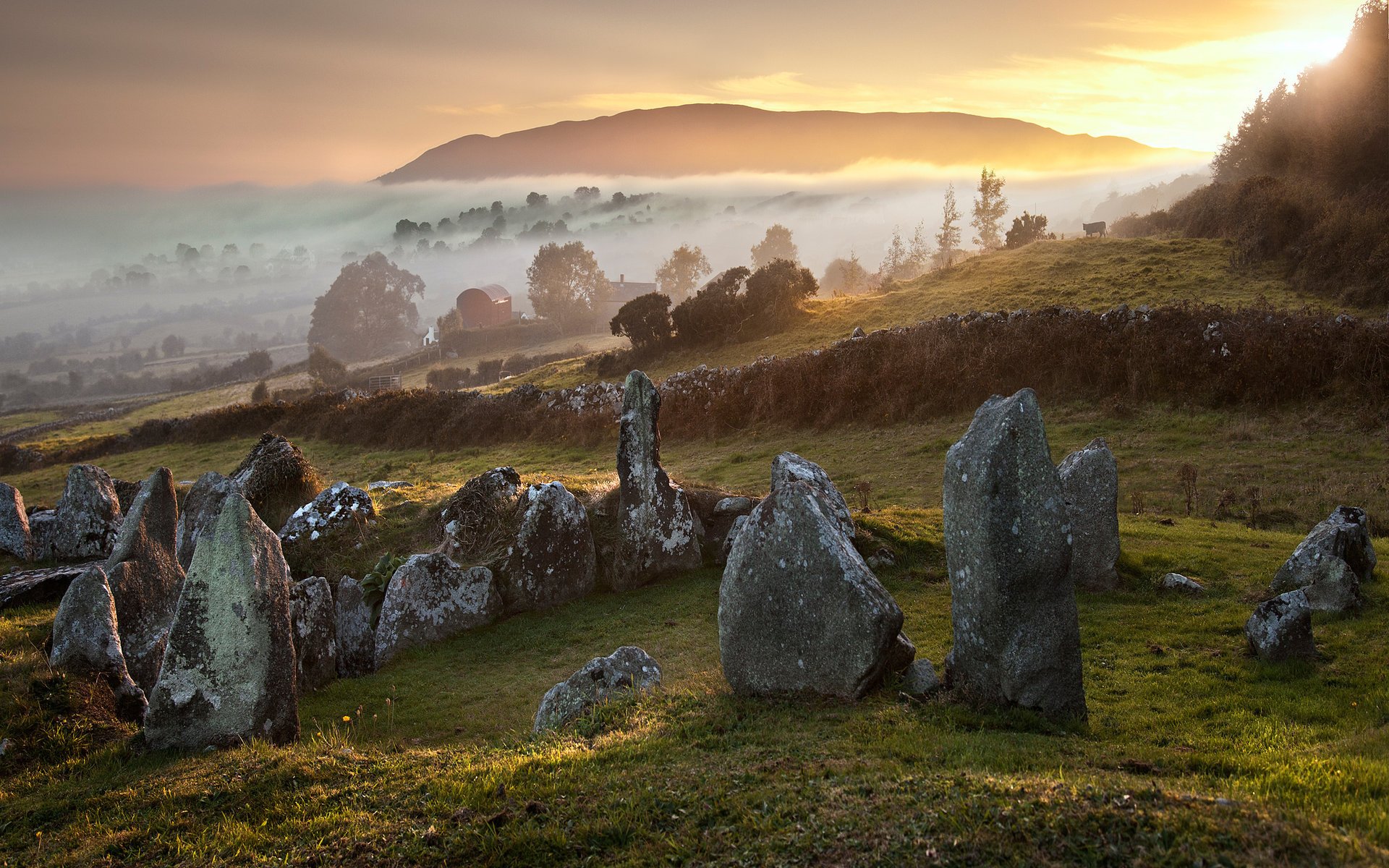 inglaterra árboles naturaleza otoño niebla piedras colinas