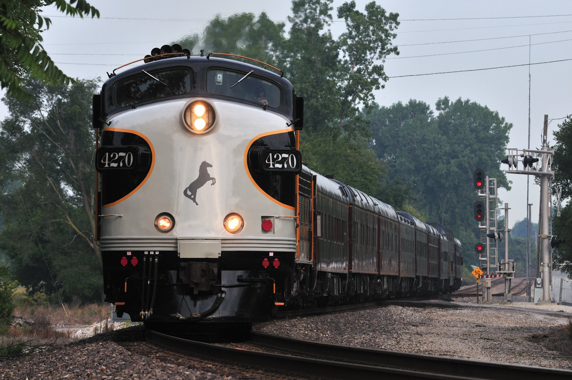 train horse light composition