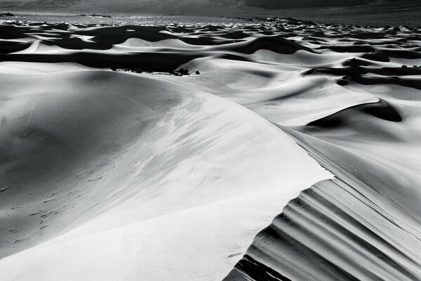 The desert in black and white tones from the author