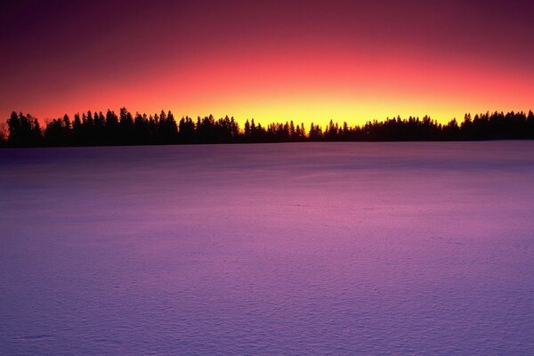 Coucher de soleil lilas en hiver dans le champ