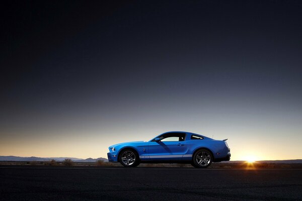 Blue car on sunset background