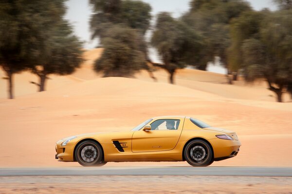 The golden stallion among the golden sands