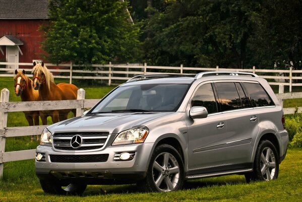 SUV Mercedes color plata cerca del corral con caballos en la hierba verde