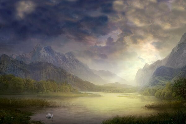 Cisne blanco en un lago en las montañas