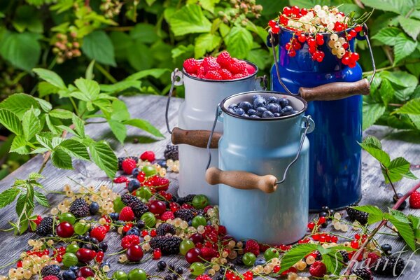 The taste of summer:cans with fragrant berries