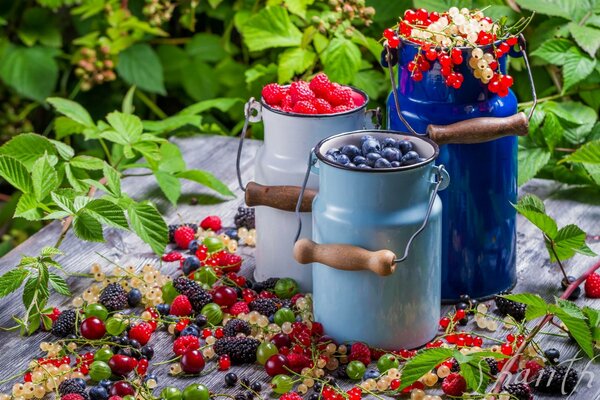 Вкус лета:бидончики с ароматными ягодами