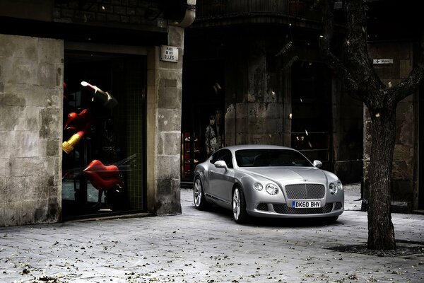 Photo silver bentley continental gt 2011