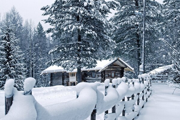 Fence in the snow around the house among the pines