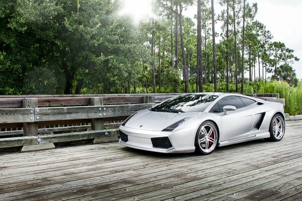 Ein Lamborghini auf einer Brücke im Wald wird fotografiert