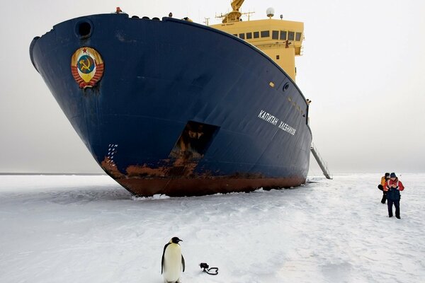 Brise-glace capitaine Khlebnikov en Antarctique