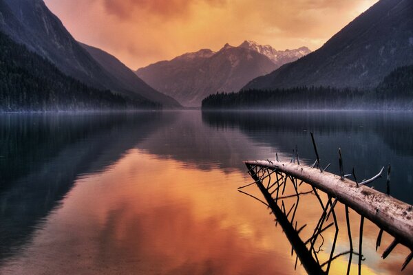 Rosa Sonnenuntergang am See von umgestürzten Bäumen