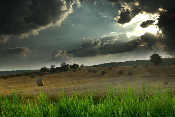 Geerntetes Gras auf einem Feld vor einem Gewitter