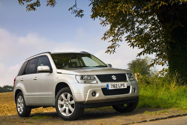 An SUV among the trees. Suzuki