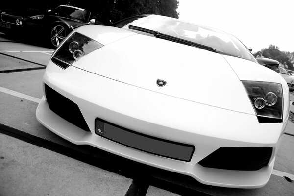 Voiture blanc Lamborghini Murcielago