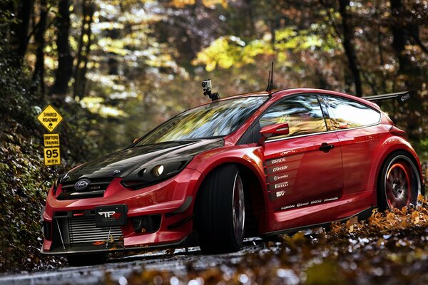 Ford Focus red car on the background of golden autumn