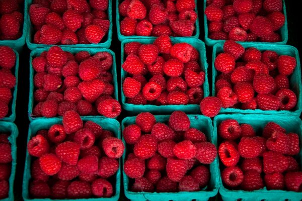 Square boxes with raspberries