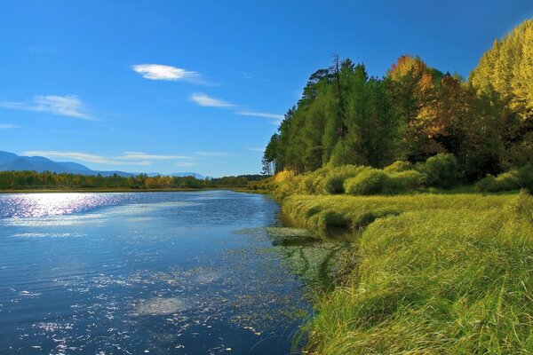 En été sur les rives d un beau lac