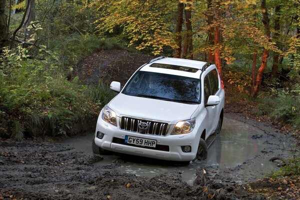 Toyota land cruiser in the middle of the forest and nature