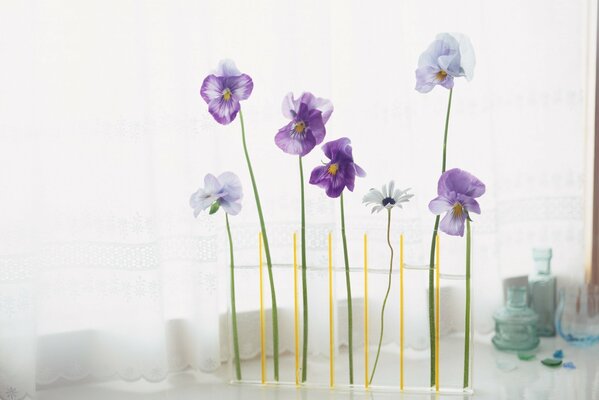 Flower arrangement with pansies